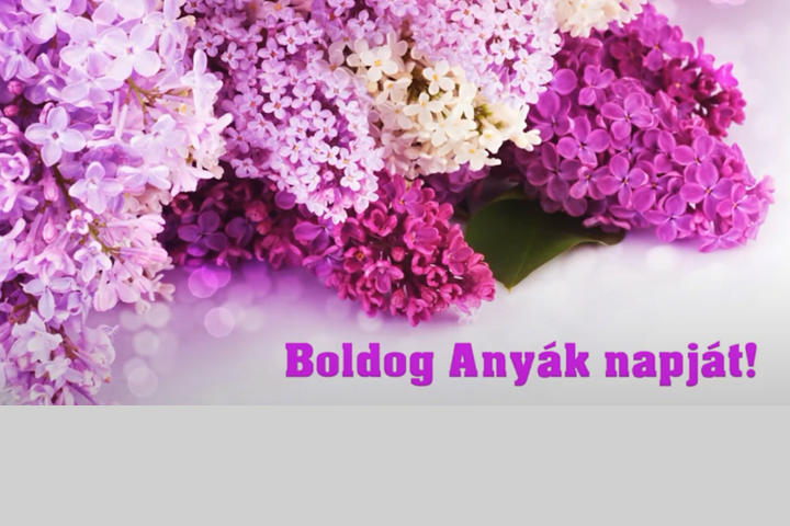Kszntjk az desanykat!