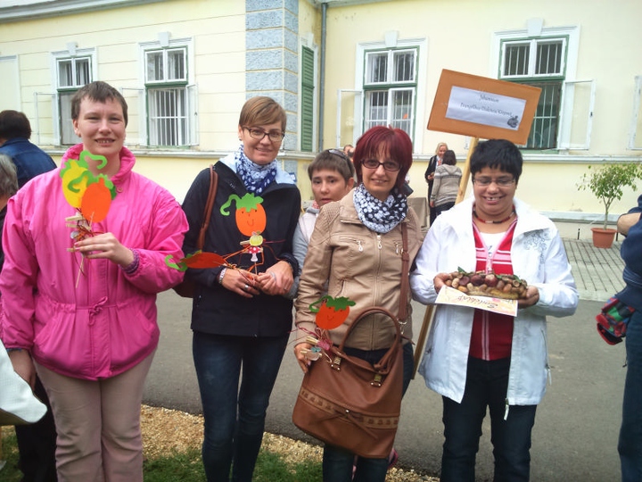 T�kfesztiv�lon j�rtak a Johanneum lak�i