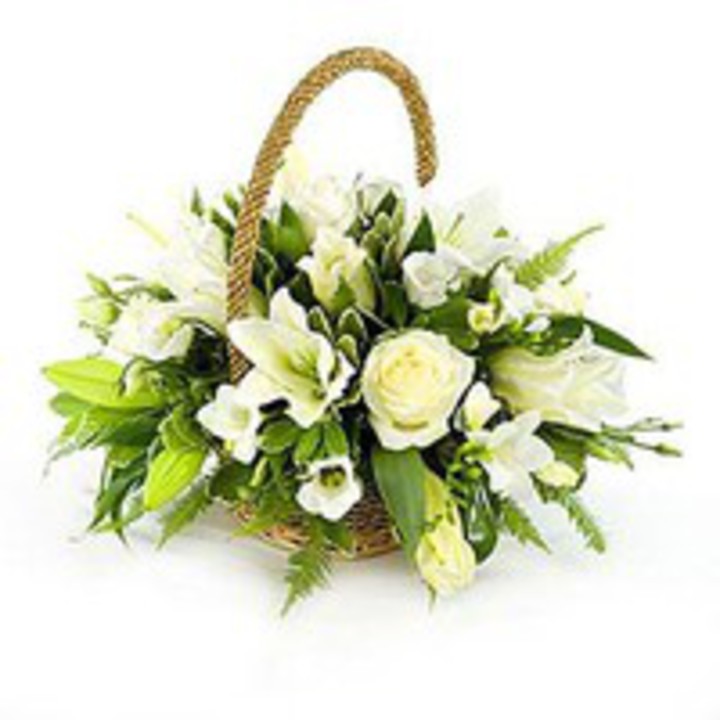 Nőnapi köszöntő Nőnapi köszöntő