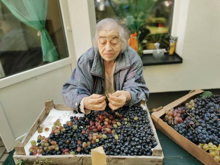 Érik a szőlő, hajlik a vessző Érik a szőlő, hajlik a vessző
