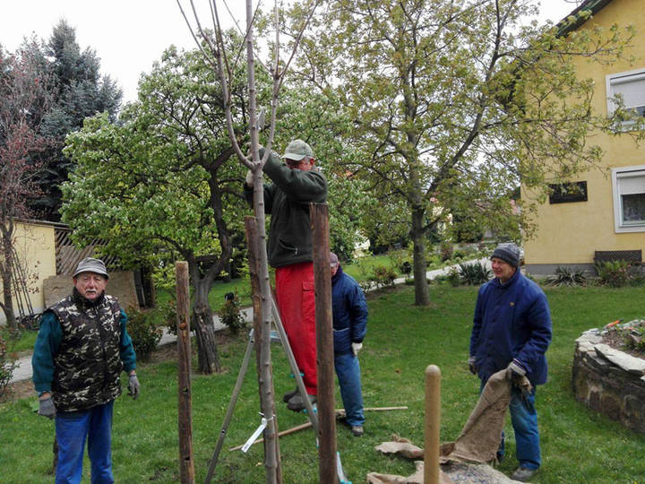 F�t �ltettek a F�rfik�r tagjai