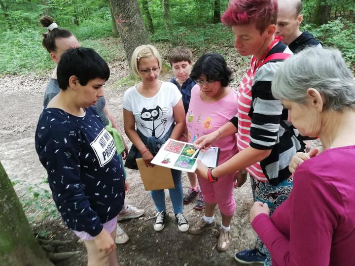 Vidám nap a Parkerdőben Vidám nap a Parkerdőben