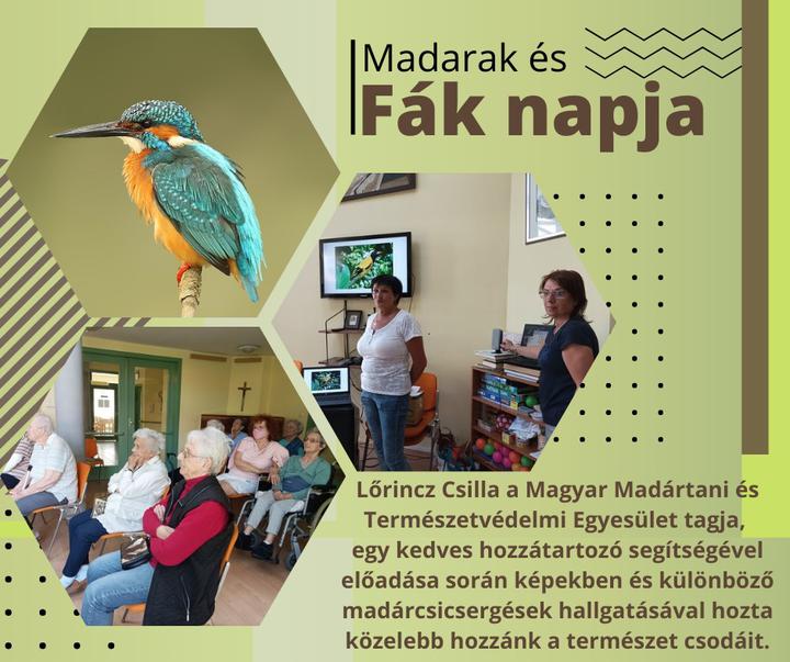 Madarak és fák napja Madarak és fák napja