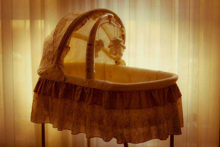 Elindul a nevel�sz�l�i h�l�zat