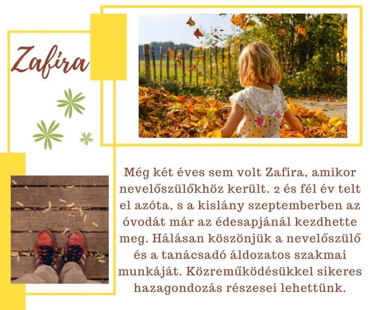 Sikeres hazagondozás Sikeres hazagondozás