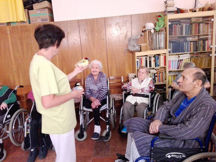 Mindent a madarakról Mindent a madarakról