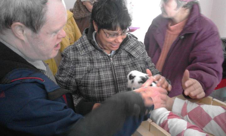 Megérkezett a nyuszi a Diakóniai Központba Megérkezett a nyuszi a Diakóniai Központba