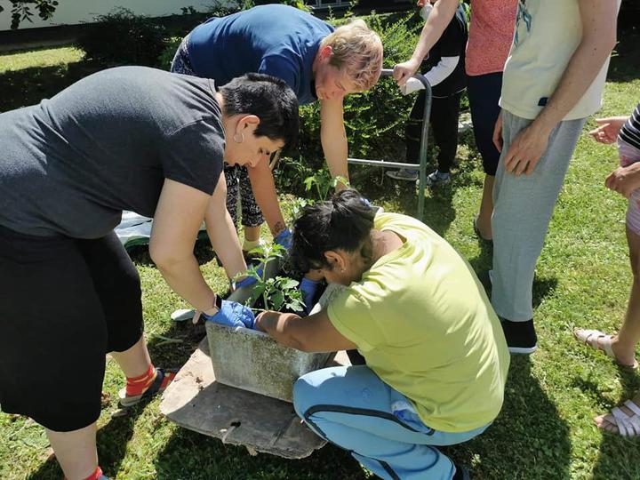 Kertészkedés Kertészkedés