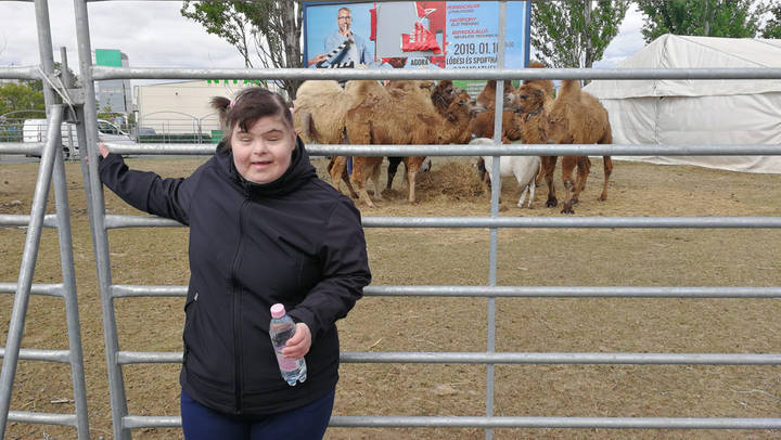 Ismerkedés a cirkuszi állatokkal Ismerkedés a cirkuszi állatokkal