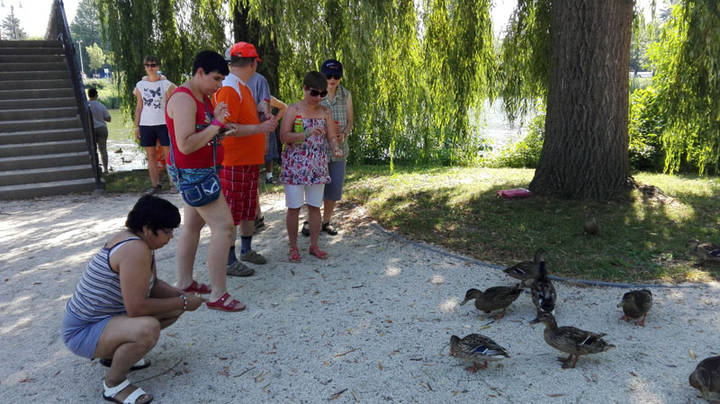 Aki az �llatokat szereti...