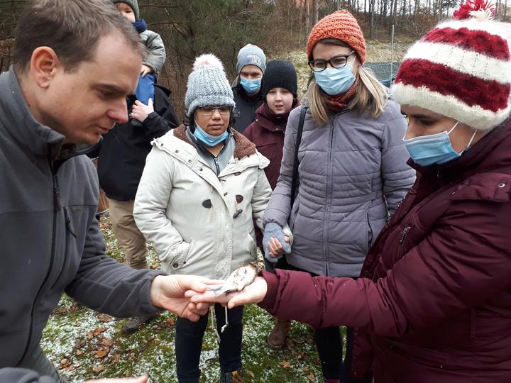 Téli madárvendégeink Téli madárvendégeink