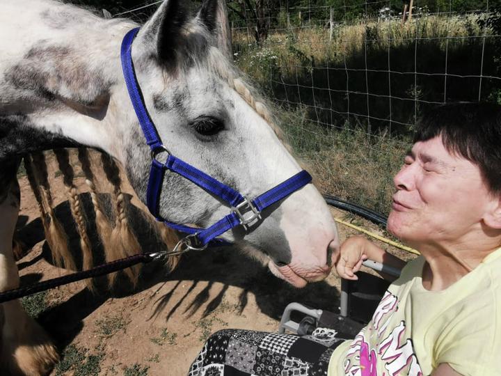 Lovak, érintések, nyugalom Lovak, érintések, nyugalom