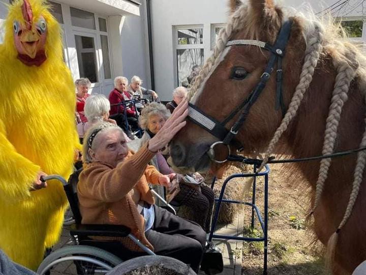 “Patás” Nyuszi “Patás” Nyuszi