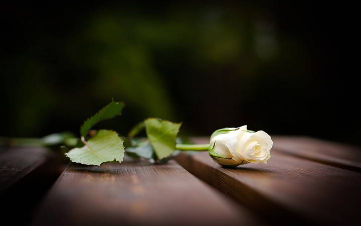 K�sz�netnyilv�n�t�s