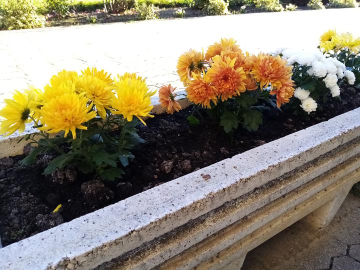 �sz a T�r�czy H�zban