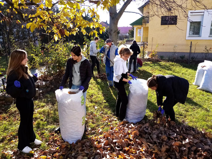 Levélgyűjtés otthonainkban Levélgyűjtés otthonainkban