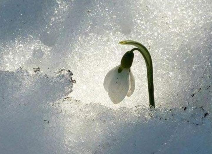 K�sz�net a Johanneum dolgoz�inak