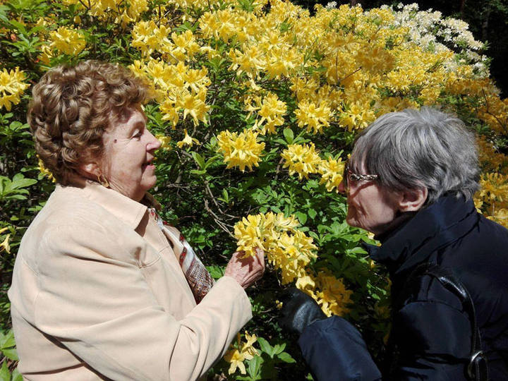 Kir�ndul�s a rhododendronok paradicsom�ban