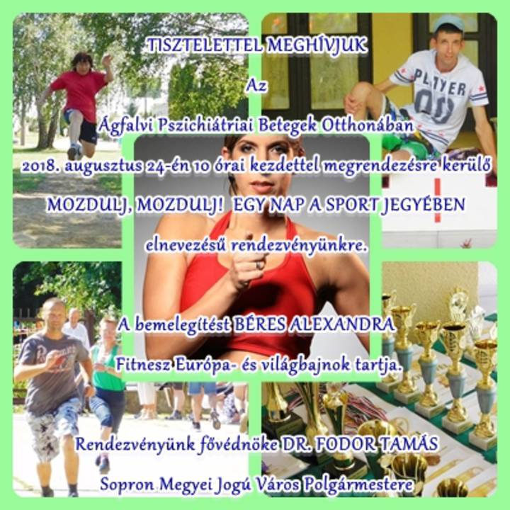 Mozdulj, mozdulj! - Egy nap a sport jegy�ben