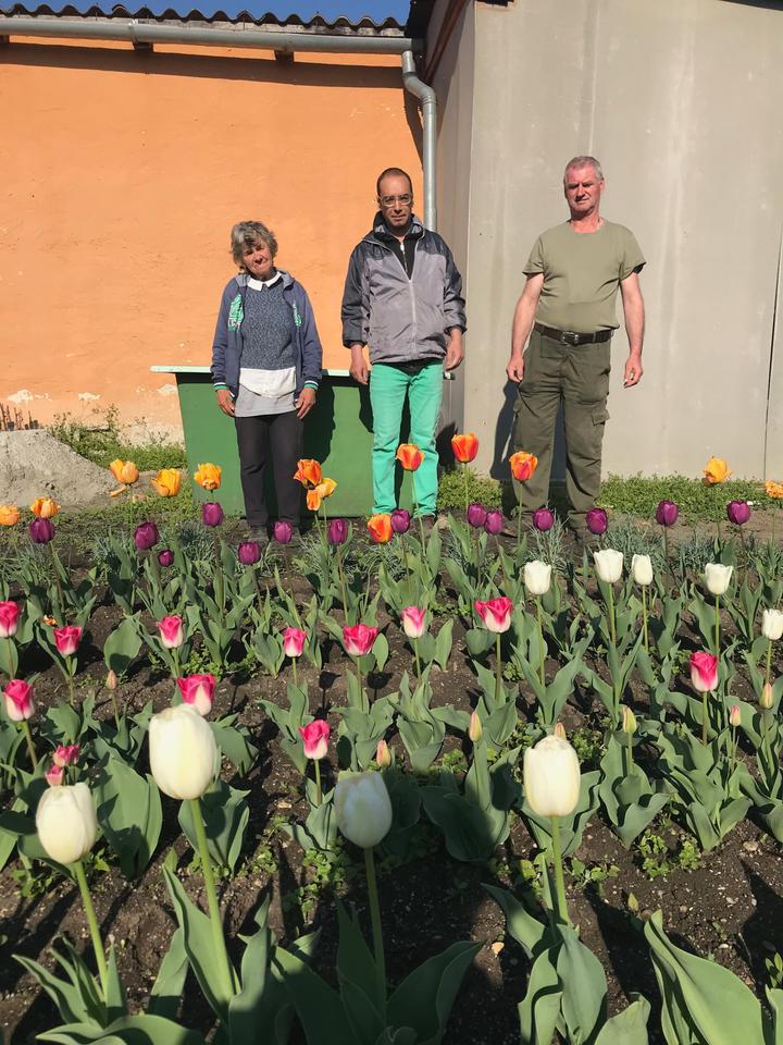 TAVASZ, KERT, KERTÉSZEK - APRÓ CSODÁK ÁGFALVÁN TAVASZ, KERT, KERTÉSZEK - APRÓ CSODÁK ÁGFALVÁN