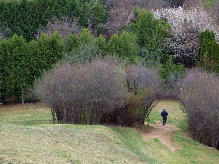 Az �gfalvi kil�t�ban