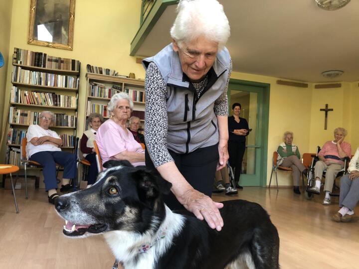 M�r szinte hazaj�r Jamie, a ter�pi�s kutya lak�inkhoz