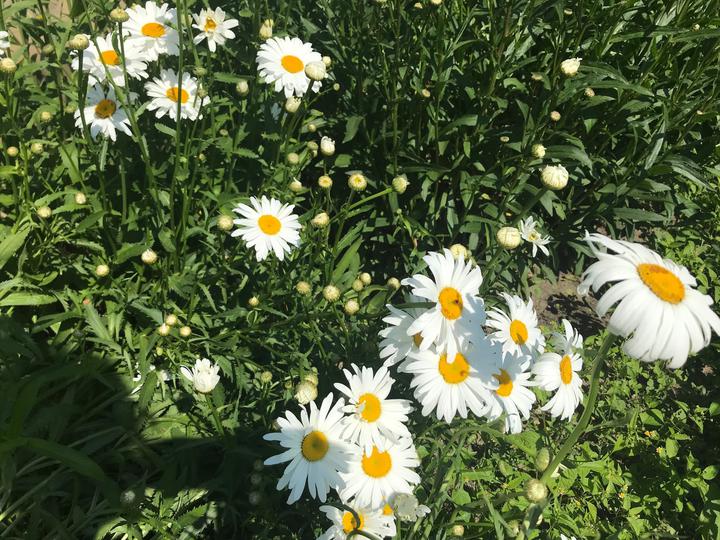 NY�RI PILLANATOK AZ OTTHONBAN...