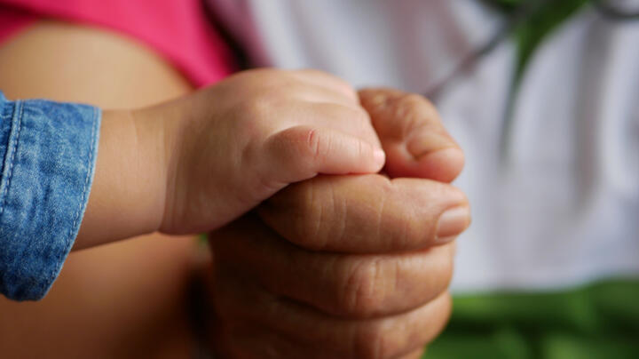 �jabb szakmai programokon vettek r�szt nevel�sz�l�i h�l�zatunk munkat�rsai