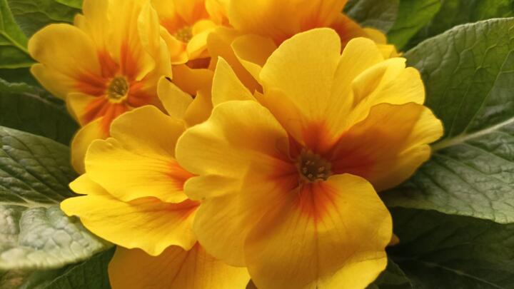 Nőnap a SZEDIK-ben
Nőnap a SZEDIK-ben