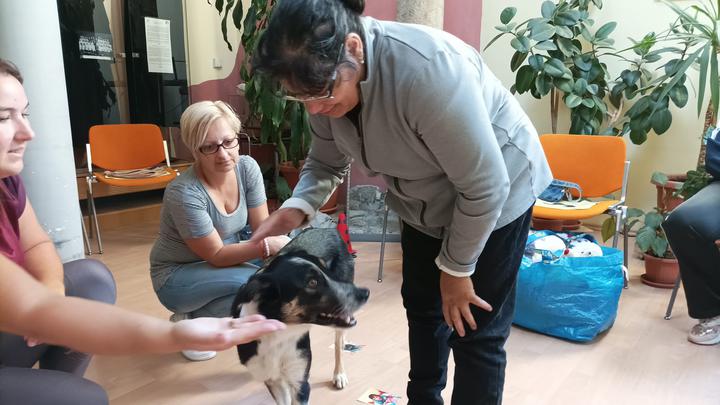 Kutyater�pia id�sekkel �s fogyat�kkal �l�kkel