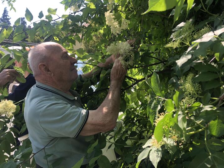 Bodzasz�ret szeretetotthonunkban