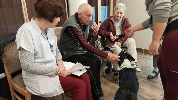 Jamie kutya a SZEDIK-ben Jamie kutya a SZEDIK-ben