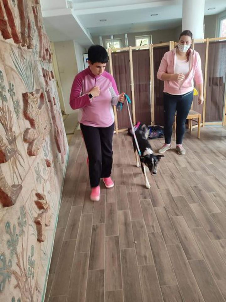 Kutyaterápia Kutyaterápia