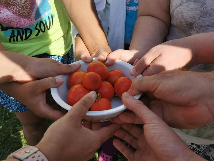 Paradicsomszedés a Johanneumban Paradicsomszedés a Johanneumban